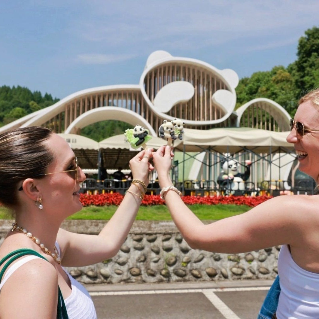 Chengdu Culture & Panda Day Tour: Panda Base, Old Streets, Gaiwan Tea & Sichuan Opera Face-Changing (Private Guide & Transport)