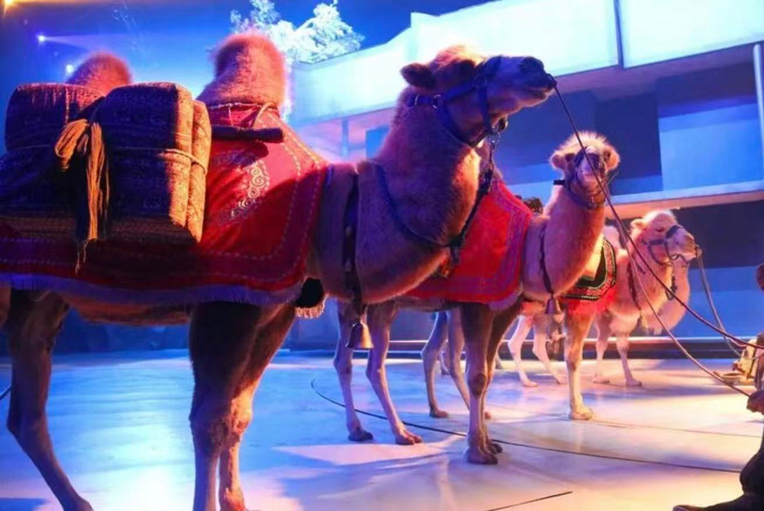 Xi’an Silk Road Live Show: Legend of Camel Bell